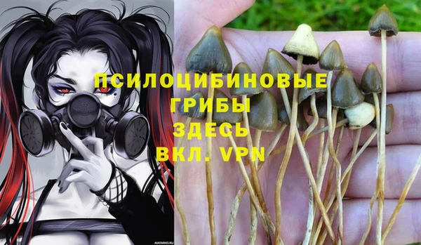скорость Богородицк