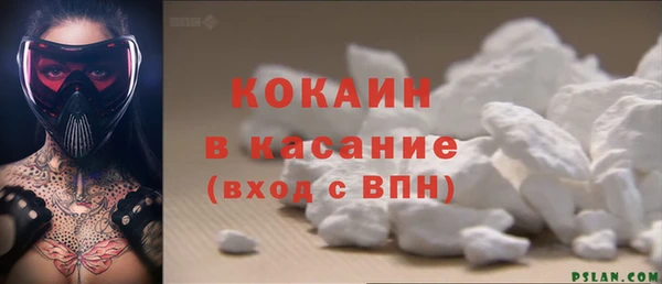 твердый Богданович