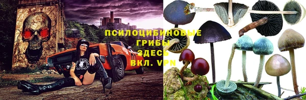 ПСИЛОЦИБИНОВЫЕ ГРИБЫ Бугульма