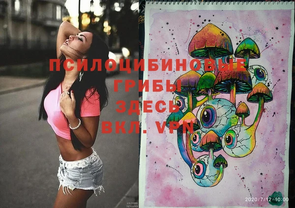 ПСИЛОЦИБИНОВЫЕ ГРИБЫ Бугульма