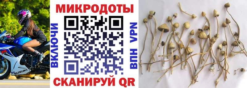 сайты даркнета наркотические препараты  Десногорск  Псилоцибиновые грибы MAGIC MUSHROOMS  блэк спрут зеркало 